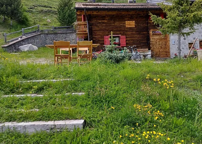 Chalet Renzo Livigno Il Lusso Del Silenzio